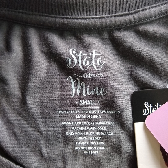 NEW State of Mine "Pumpkin Spice Everything" Long Sleeve T-Shirt Grey Small - Picture 2 of 7